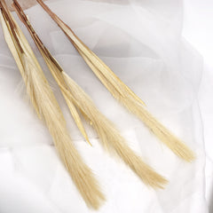 Reed Pampas Grass Long Spray 105cmH
