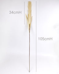 Reed Pampas Grass Long Spray 105cmH