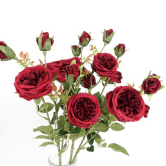 6 Heads Austin Rose Spray Burgundy Red
