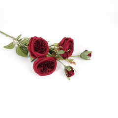 6 Heads Austin Rose Spray Burgundy Red