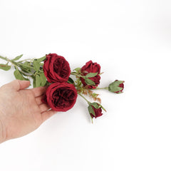 6 Heads Austin Rose Spray Burgundy Red