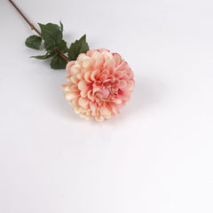Dahlia Flower Stem Peach Orange