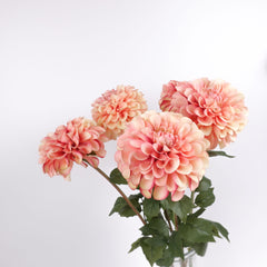 Dahlia Flower Stem Peach Orange