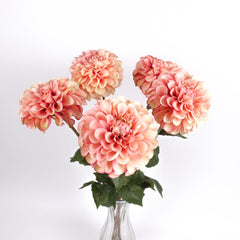 Dahlia Flower Stem Peach Orange