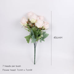 7 Heads Rose Bush 45cmH
