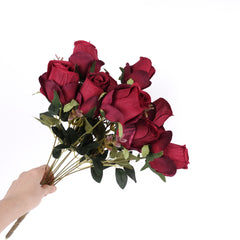 11 Heads Rose Bush 50cmH