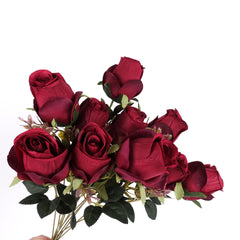 11 Heads Rose Bush 50cmH
