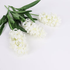 Hyacinth Stem in Cream White