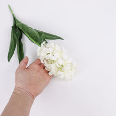 Hyacinth Stem in Cream White