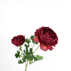 3 Heads Ranunculus Stem 61cmH