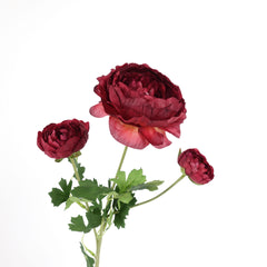 3 Heads Ranunculus Stem 61cmH