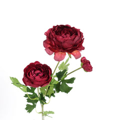 3 Heads Ranunculus Stem 61cmH