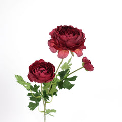 3 Heads Ranunculus Stem 61cmH