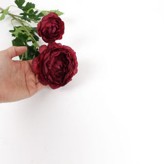 3 Heads Ranunculus Stem 61cmH