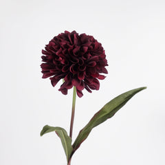 Big Head Dahlia Flower Stem 68cmH