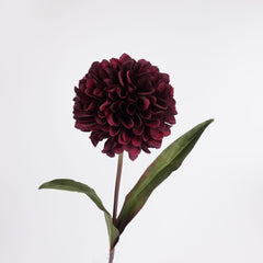 Big Head Dahlia Flower Stem 68cmH