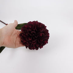 Big Head Dahlia Flower Stem 68cmH