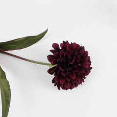 Big Head Dahlia Flower Stem 68cmH