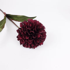 Big Head Dahlia Flower Stem 68cmH
