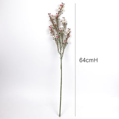 Wax Flower Stem