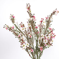 Wax Flower Stem