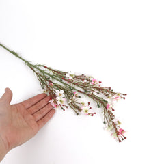 Wax Flower Stem