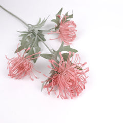 3 Heads Pincushion Leucospermum Stem