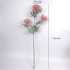 3 Heads Pincushion Leucospermum Stem