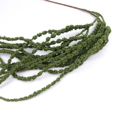 Amaranthus Stem in Green