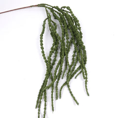 Amaranthus Stem in Green