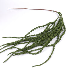 Amaranthus Stem in Green
