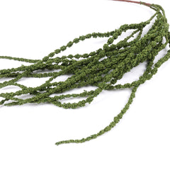 Amaranthus Stem in Green