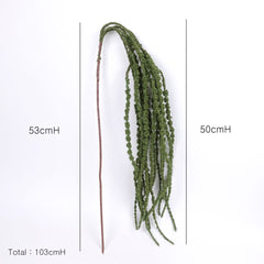 Amaranthus Stem in Green