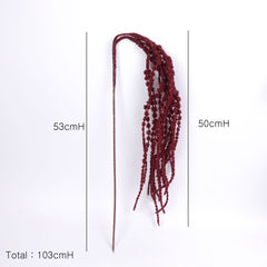 Amaranthus Stem in Burgundy