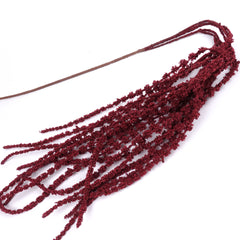Amaranthus Stem in Burgundy