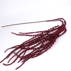 Amaranthus Stem in Burgundy