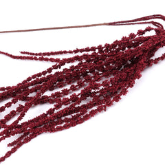 Amaranthus Stem in Burgundy