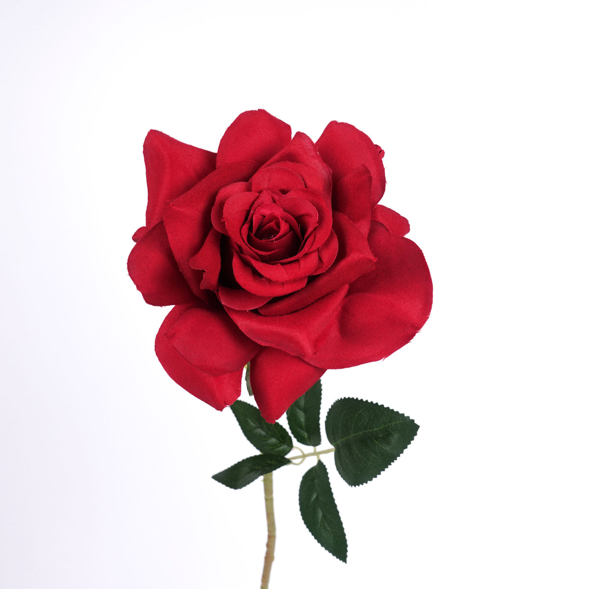 Single Rose Stem in Red