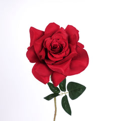 Single Rose Stem in Red
