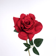 Single Rose Stem in Red