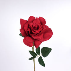 Single Rose Stem in Red