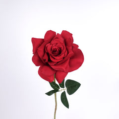 Single Rose Stem in Red