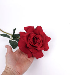 Single Rose Stem in Red