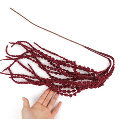 Amaranthus Stem in Burgundy