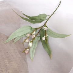 Eucalyptus Pod Spray 48cmH