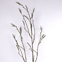 Willow Twig Branch 71cmH