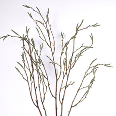 Willow Twig Branch 71cmH