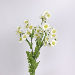 Daisy Flower Spray