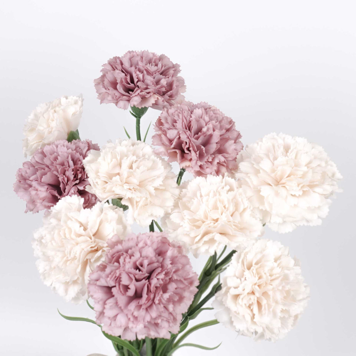 Real-touch Carnation Stem 47cmH