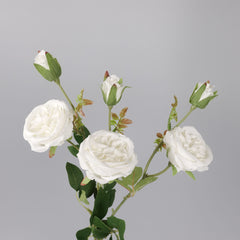 6 Heads Austin Rose Spray White